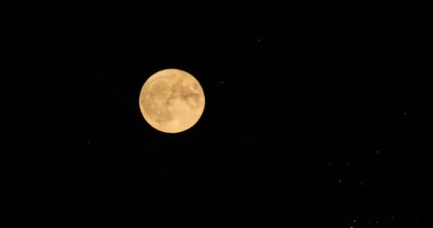 Firework Front Super Full Moon French Sky — Stockvideo