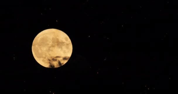 Firework Front Super Full Moon French Sky — Video Stock