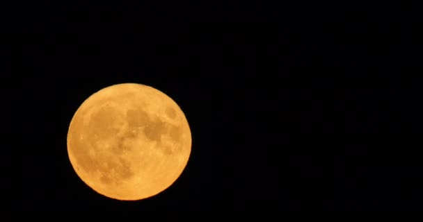 Super Full Moon French Sky — Stockvideo