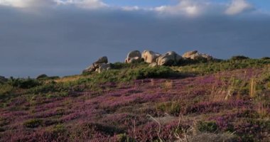 Pembe granit sahil, Cotes d zırh bölümü, Fransa 'da Brittany