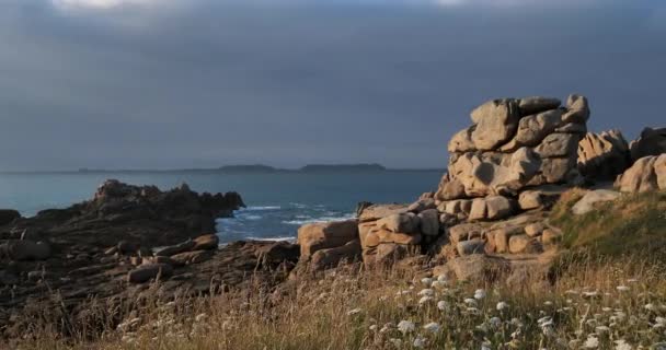 Pink Granite Coast Cotes Armor Department Brittany France — Stock Video
