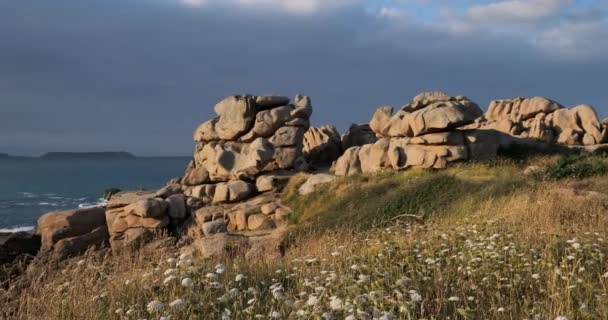 Pink Granite Coast Cotes Armor Department Brittany France — Stock Video