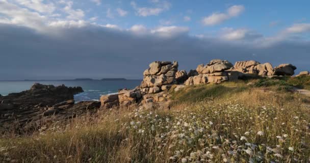 Pink Granite Coast Cotes Armor Department Brittany France — Stock Video