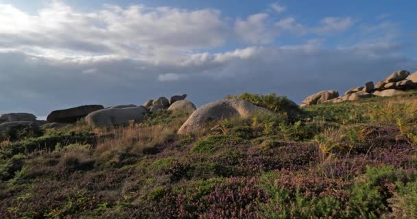 Pink Granite Coast Cotes Armor Department Brittany France — Stock Video