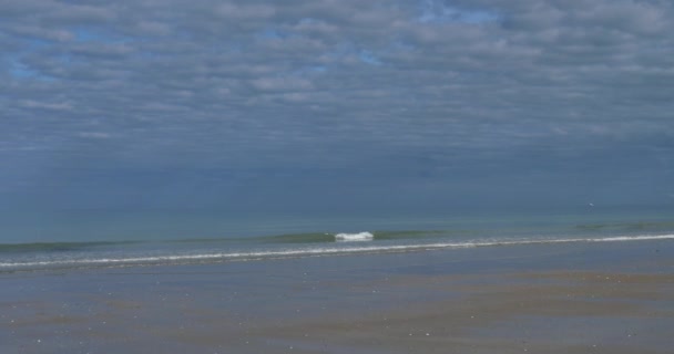 Пляж Лингревилле Английский Канал Департамент Ост Франции — стоковое видео