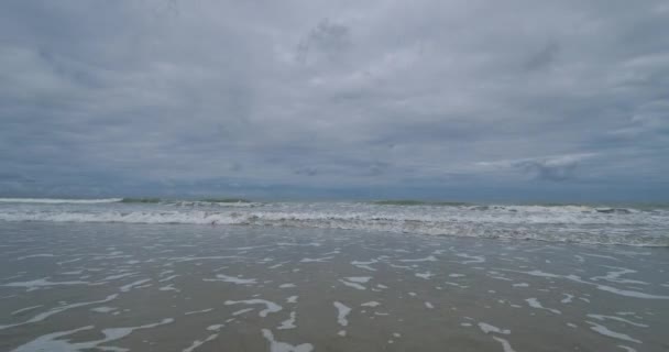 Het Strand Van Lingreville Engels Kanaal Departement Manche Frankrijk — Stockvideo