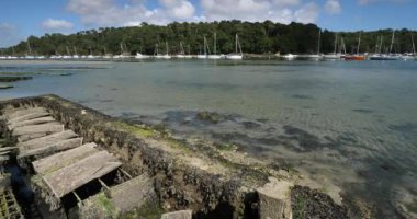 İstiridye parkları, Riec-sur-Belon, Finistere Departmanı, Brittany Bölgesi, Fransa 