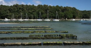 İstiridye parkları, Riec-sur-Belon, Finistere Departmanı, Brittany Bölgesi, Fransa 