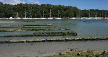 İstiridye parkları, Riec-sur-Belon, Finistere Departmanı, Brittany Bölgesi, Fransa 