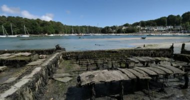 İstiridye parkları, Riec-sur-Belon, Finistere Departmanı, Brittany Bölgesi, Fransa 