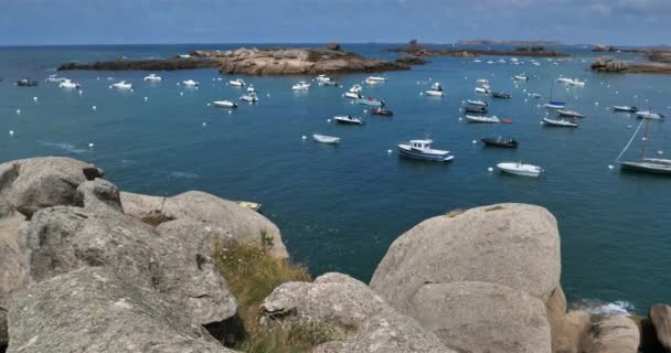 Tregastel Pink Granit Coast Cotes Armor Megye Brittany Franciaországban — Stock videók