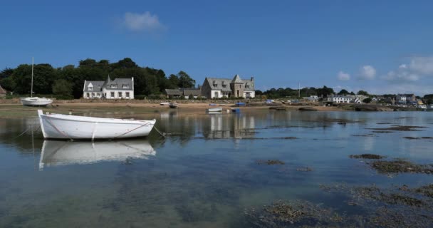 Port Ploumanach Côté Tregastel Bretagne France — Video