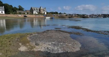 Tregastel tarafından Ploumanach limanı, Fransa, Brittany