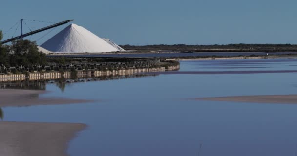 Aigues Mortes Tuz Bataklıkları Gard Departmanı Fransa Daki Occitanie — Stok video