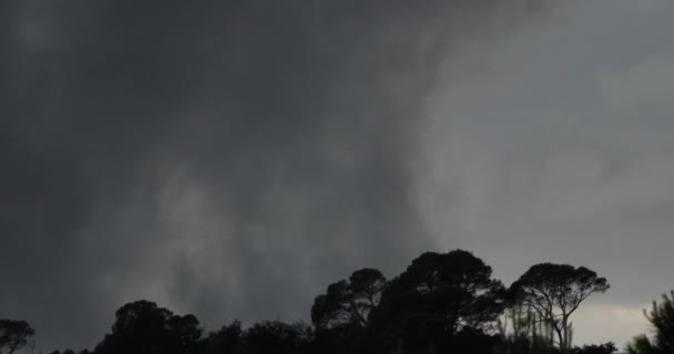 Βροχή Πέφτει Κατά Διάρκεια Μιας Καταιγίδας — Αρχείο Βίντεο