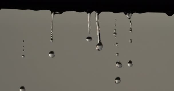 暴雨中的雨滴 — 图库视频影像