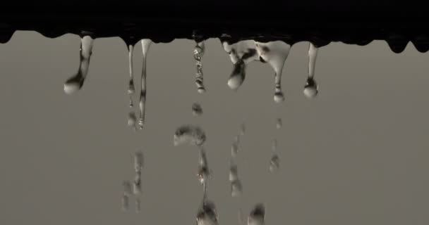Déšť Kapající Během Bouře — Stock video