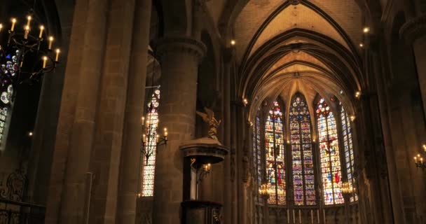 Базилика Святых Назария Цельса Каркассон Франция — стоковое видео