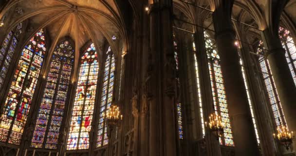 Basilica Saints Nazarius Celsus Carcassonne Franciaország — Stock videók