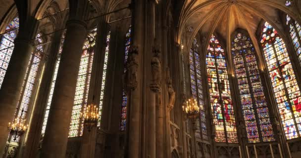 Basilica Saints Nazarius Och Celsus Carcassonne Frankrike — Stockvideo