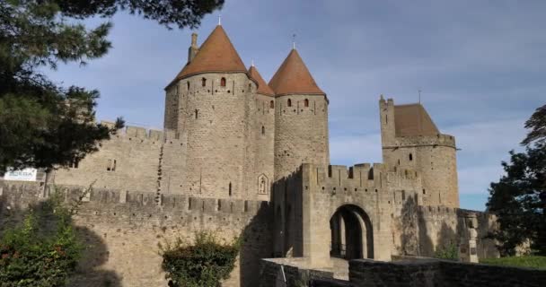 Carcassonne Maior Fortaleza Castelo Europa Departamento Aude França — Vídeo de Stock