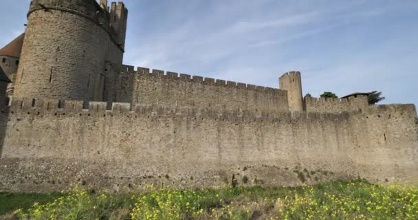 Carcassonne Avrupa Nın Büyük Kale Kalesi Aude Departmanı Fransa — Stok video