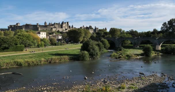 Carcassonne号和Pont Vieux号穿过法国奥德河 — 图库视频影像