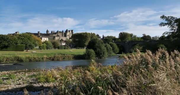 Carcassonne Και Pont Vieux Διασχίζουν Τον Ποταμό Aude Γαλλία — Αρχείο Βίντεο