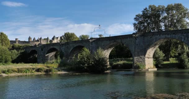 Carcassonne Και Pont Vieux Διασχίζουν Τον Ποταμό Aude Γαλλία — Αρχείο Βίντεο