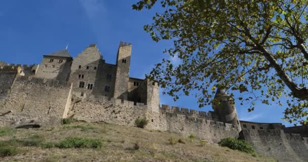 Carcassonne Maior Fortaleza Castelo Europa Departamento Aude França — Vídeo de Stock