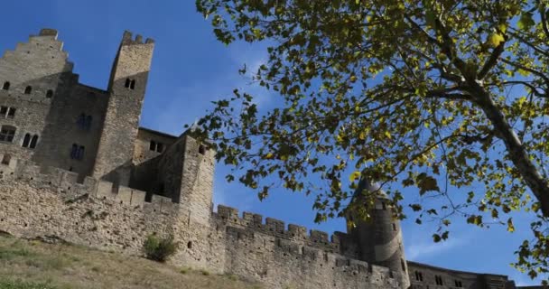 Каркассон Найбільша Замкова Фортеця Євро Департамент Франція — стокове відео