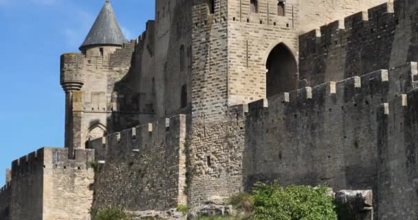 Carcassonne Biggest Castle Fortress Europe Aude Department France — Stock Video