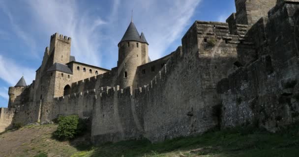 Carcassonne Cea Mai Mare Cetate Castelului Din Europa Departamentul Aude — Videoclip de stoc