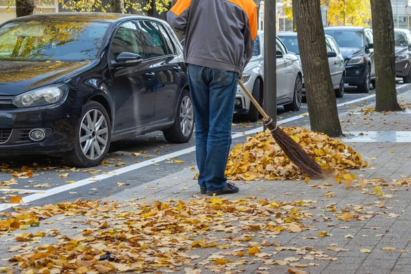 Şehirdeki Bir Çalışan Sonbaharda Yaprakları Kaldırımdan Bir Yığına Süpürüyor Panevezys — Stok fotoğraf