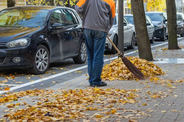 Anställd Staden Sopar Löv Från Trottoaren Hög Hösten Panevezys Litauen — Stockfoto