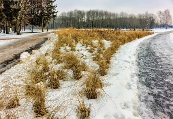 Winterlandschaft Park Mit Gebogenen Büscheln Und Bäumen — Stockfoto