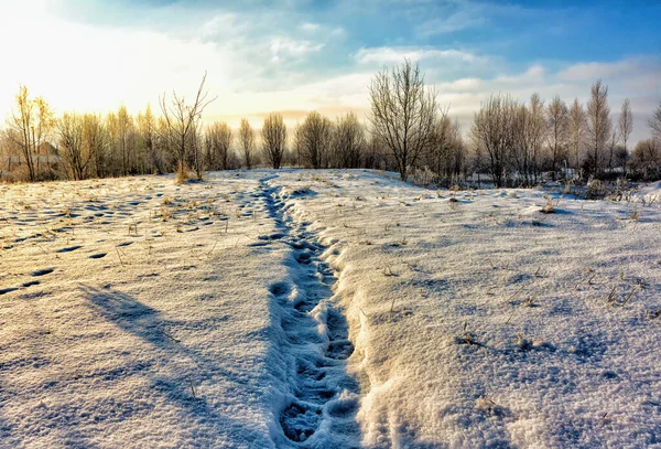 Inverno Dia Ensolarado Uma Trilha Sinuosa Com Traços Para Parque — Fotografia de Stock