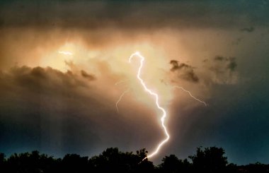 Bir yaz gecesinde ağaçlarda yıldırım elektrik boşalması.