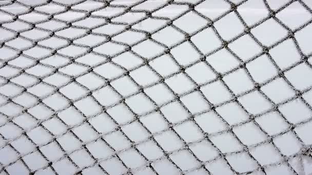 Soccer Goal Retina Texture Background Winter Frost — 图库视频影像