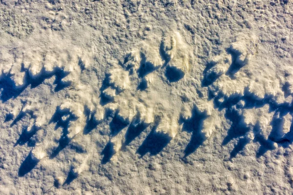 Várias Texturas Neve Durante Dia Com Sol Brilhando Vista Superior — Fotografia de Stock