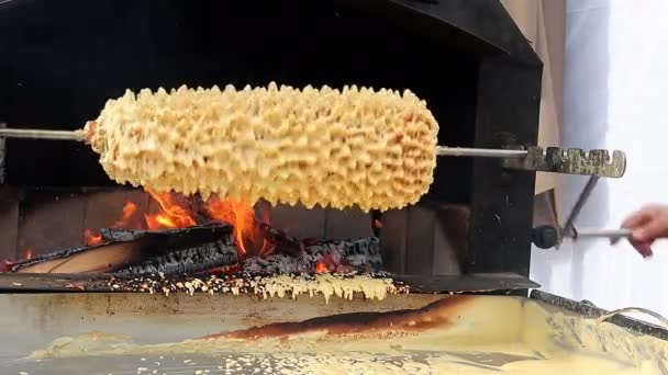 Tradycyjne Litewskie Ciasto Sakotis Piecze Się Zewnątrz Ognisku Metalowym Piekarniku — Wideo stockowe