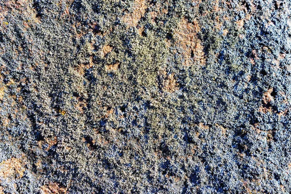 Povrch Venkovního Kamene Silně Zarostlý Mechem Slunci — Stock fotografie