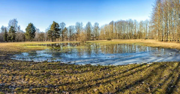 Het Vroege Voorjaar Een Park Met Een Overstroomde Weide Met — Stockfoto