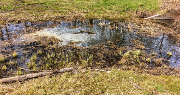 Een Kalme Stroom Die Het Vroege Voorjaar Uit Het Kanaal — Stockfoto