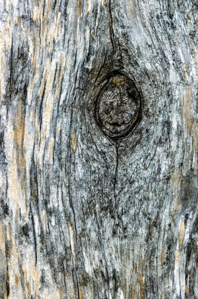 Old Pine Wood Planks Former Branch Texture Background Close Vertical — Stock fotografie