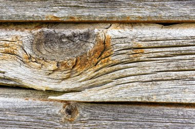 Dal desenli eski çam ahşap duvar. Yakın plan.