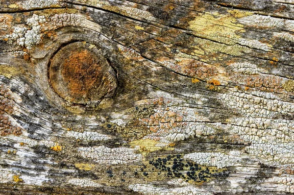Old Pine Wood Planks Moss Former Branch Texture Background Close — 스톡 사진