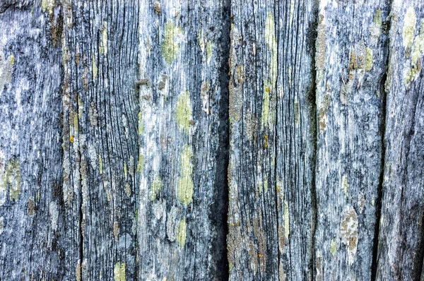 Texture Background Old Pine Wooden Boards Daylight Close — 스톡 사진