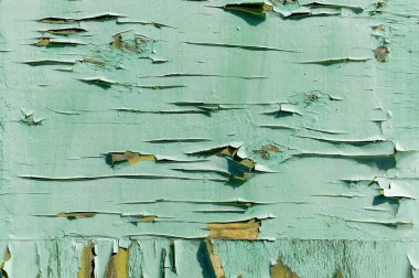 Ragged green or turquoise painted wooden plank wall texture background in sunlight