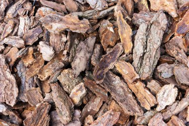 Pine wood chip bark chipping, texture background close up, top view